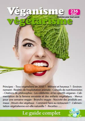Guide du