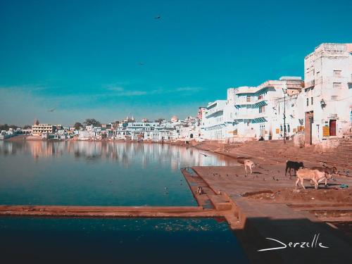 pushkar-4578-2