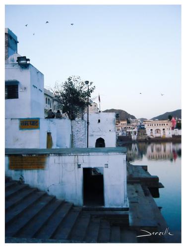 pushkar-8-2