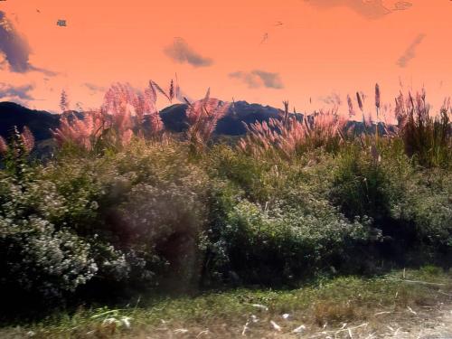 img 0784-gigapixel-low res-scale-6 00x