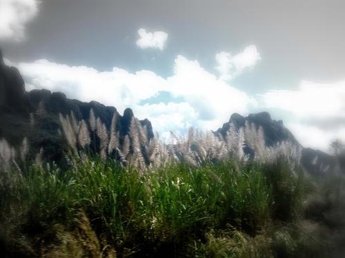img 0823-gigapixel-low res-scale-6 00x