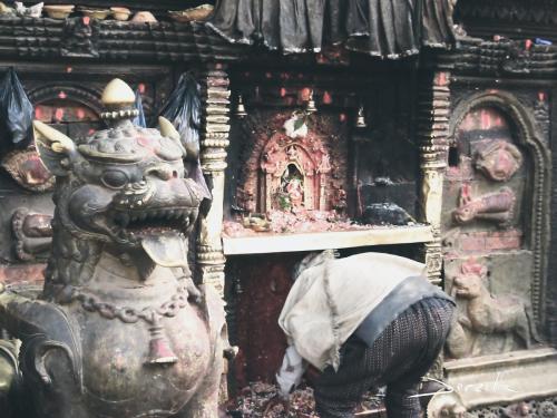 nepal-436534436
