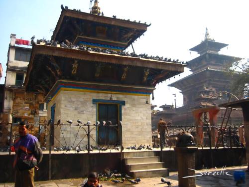 nepal-dfgdg