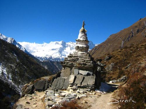 stuppha-2